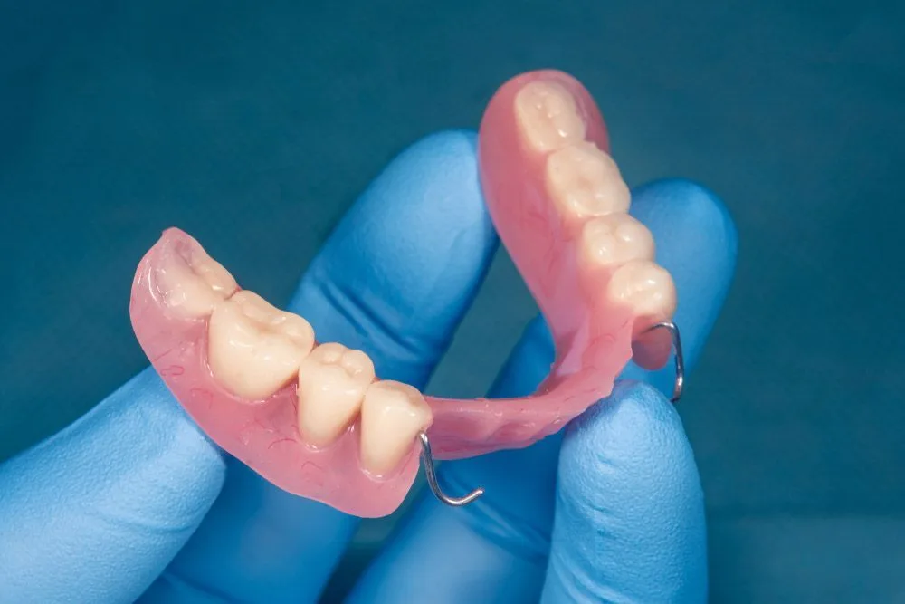 Dentist showing a partial denture sample — dental clinic in Maroochydore, QLD